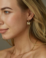 ANALISE BUTTERFLY HOOPS