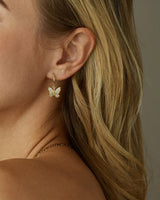 ANALISE BUTTERFLY HOOPS