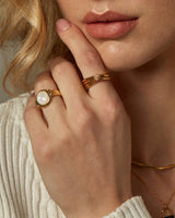 AVRI SHELL SIGNET RING